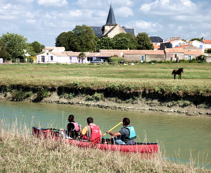 Balade en canoe dans le marais breton