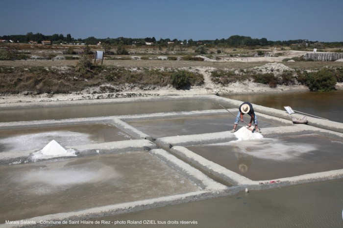 Marais salants de la vie à saint hilaire de riez