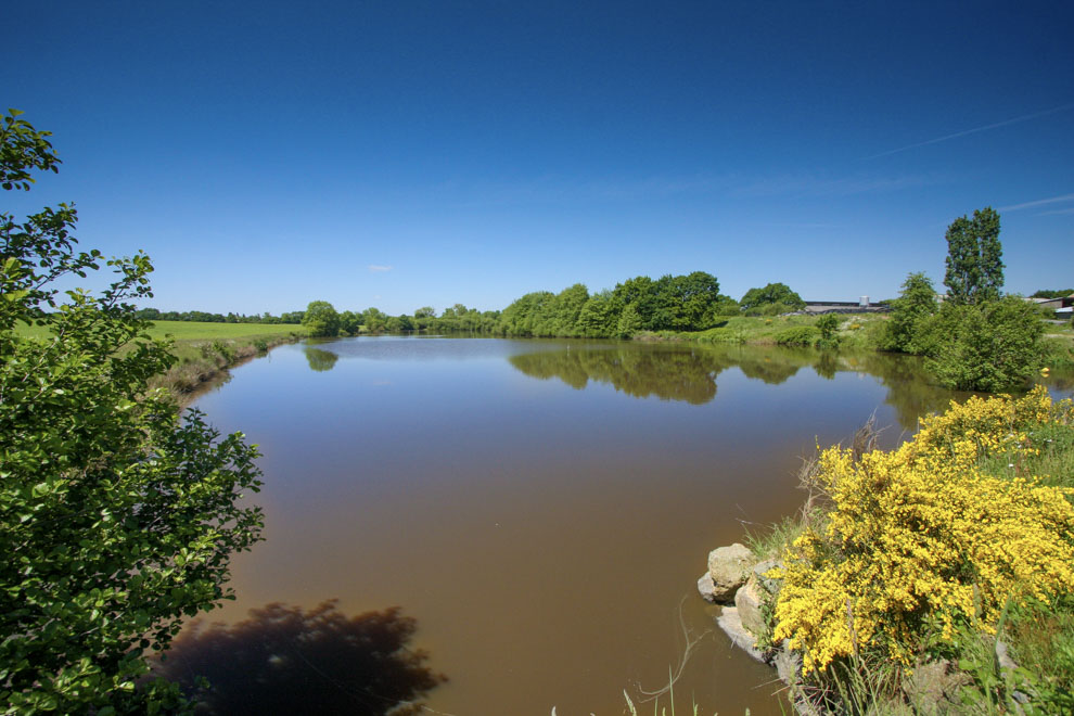 Gîte de pêche sur étang privé sans carte de pêche