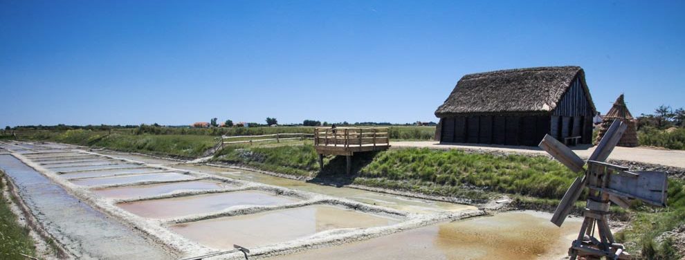 Gîtes de groupes écomusée du daviaud en vendée