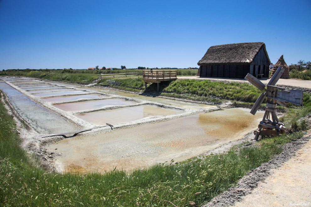 Marais salants dans la Marais Breton en Vendée proche de nos gîtes de groupes