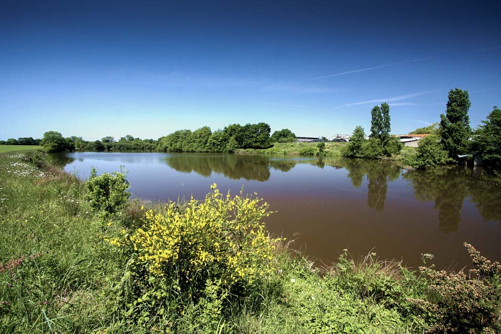 Gîte de pêche sur un étang de 3 ha