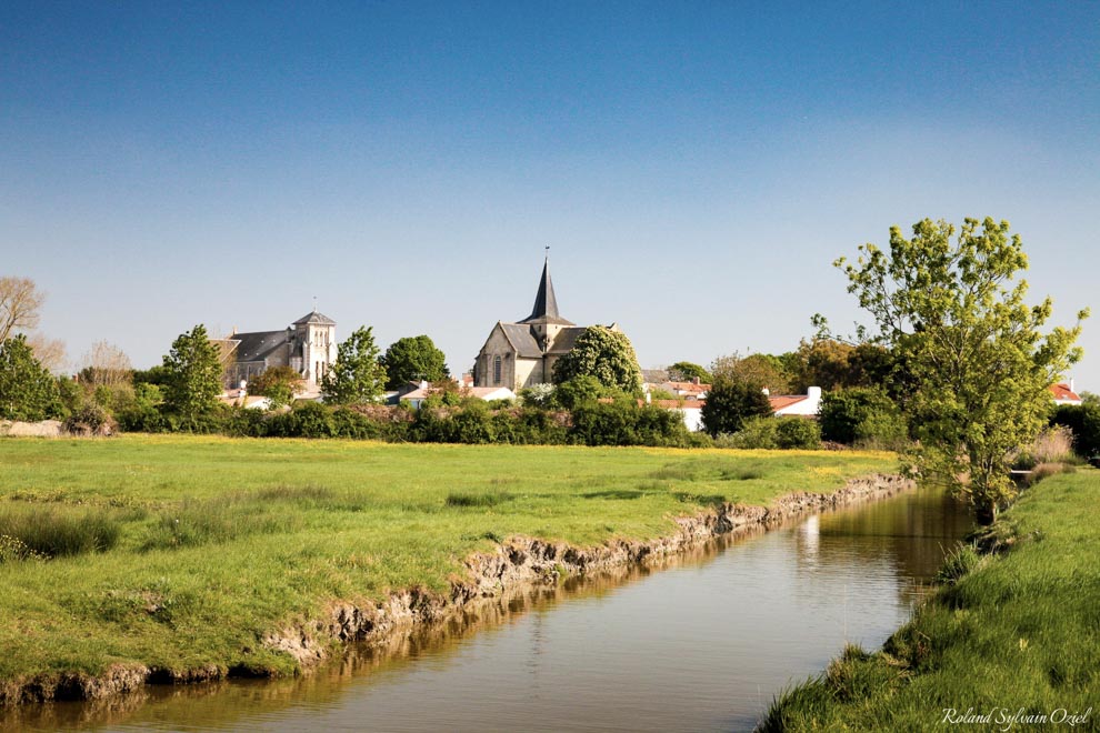 Idées de sorties en groupes en Vendée une balade en canoë dans le marais