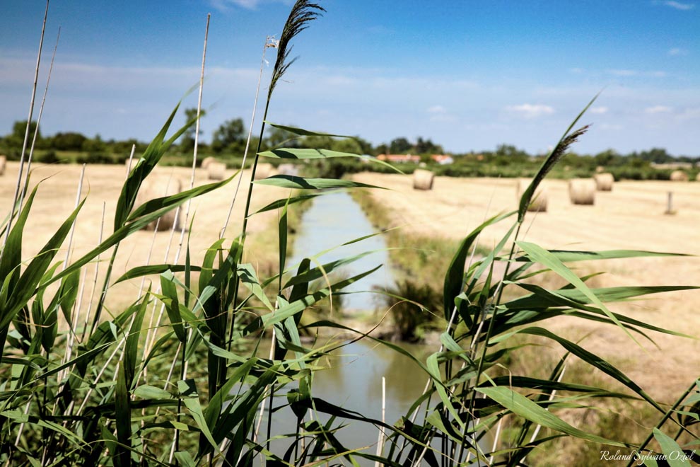 Amoureux de paysages et de Nature