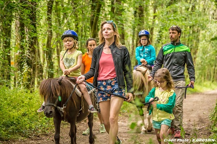 Activité pour les groupes pendant votre séjour la balade à poneys pour les enfants 