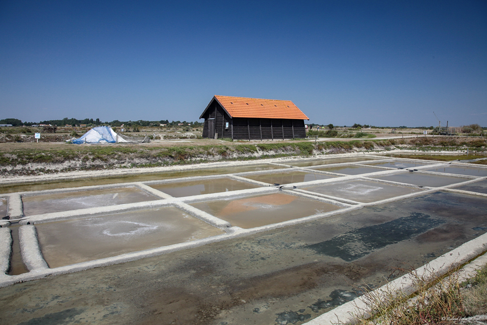 Gîte de groupe proche des marais salants