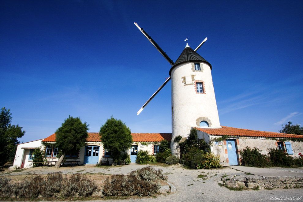 Visite du Moulin de Rairé pendant votre séjour en Vendée aux gîtes de groupes
