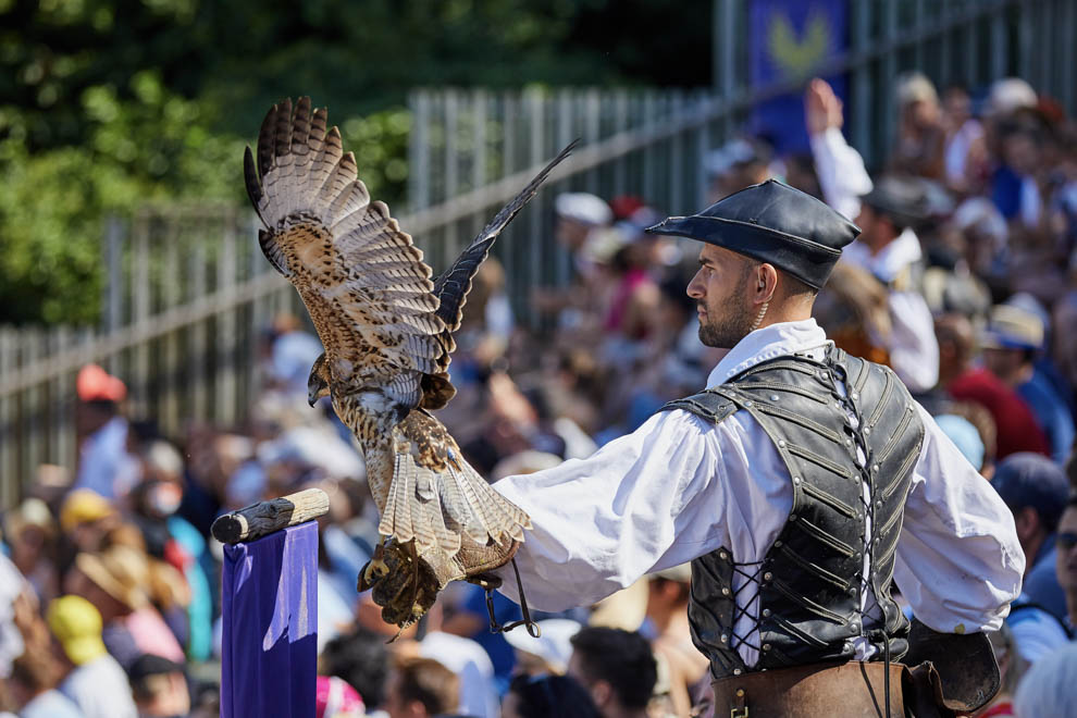 Spectacle puy du fou le Bal des Oiseaux Fantomes