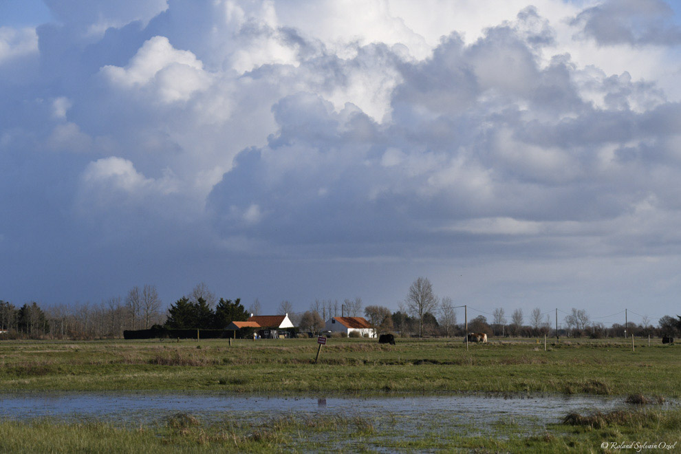 Dans le marais breton les terres sont souvent inondés