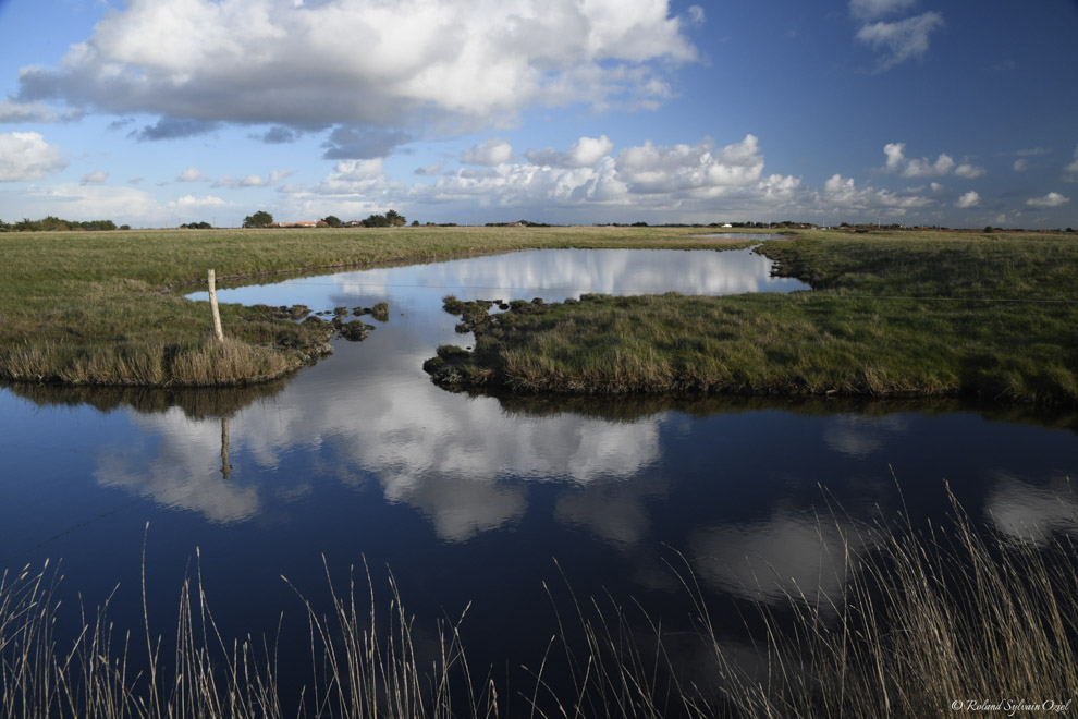 Nos gîtes de groupes proches du marais breton