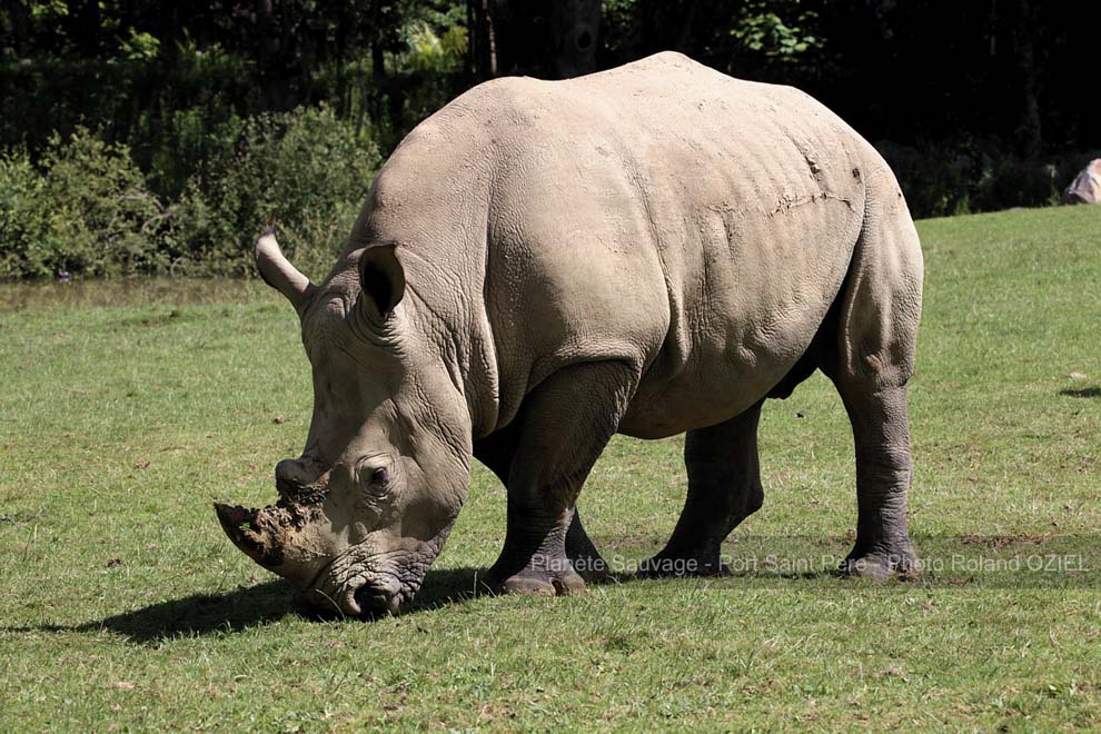 Gîtes de groupes proche du parc planète sauvage